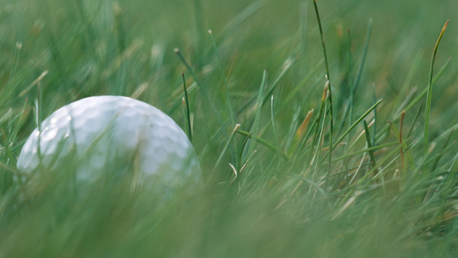 https://staging.golfmagazin.de/drive/golf-alpabeth-golfbegriffe-fuer-einsteiger/